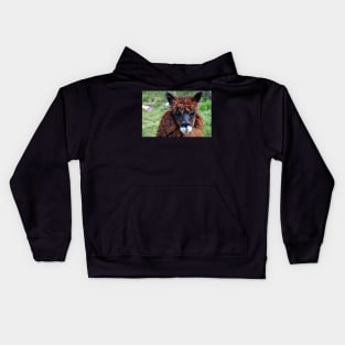 Lama du Pérou Kids Hoodie